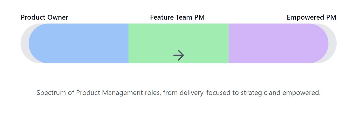 Spectrem of Product Management